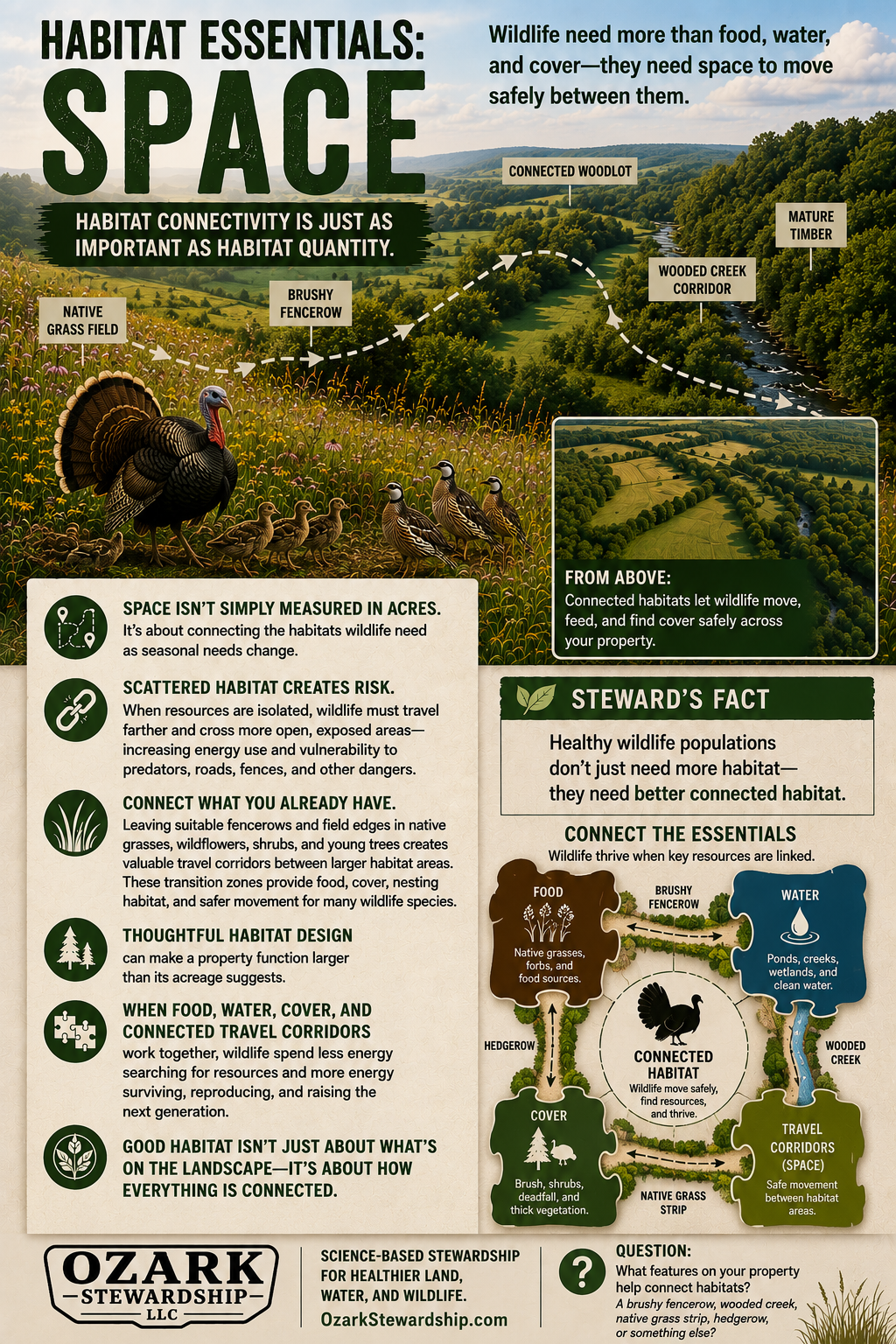 Habitat Essentials Space infographic showing connected wildlife corridors