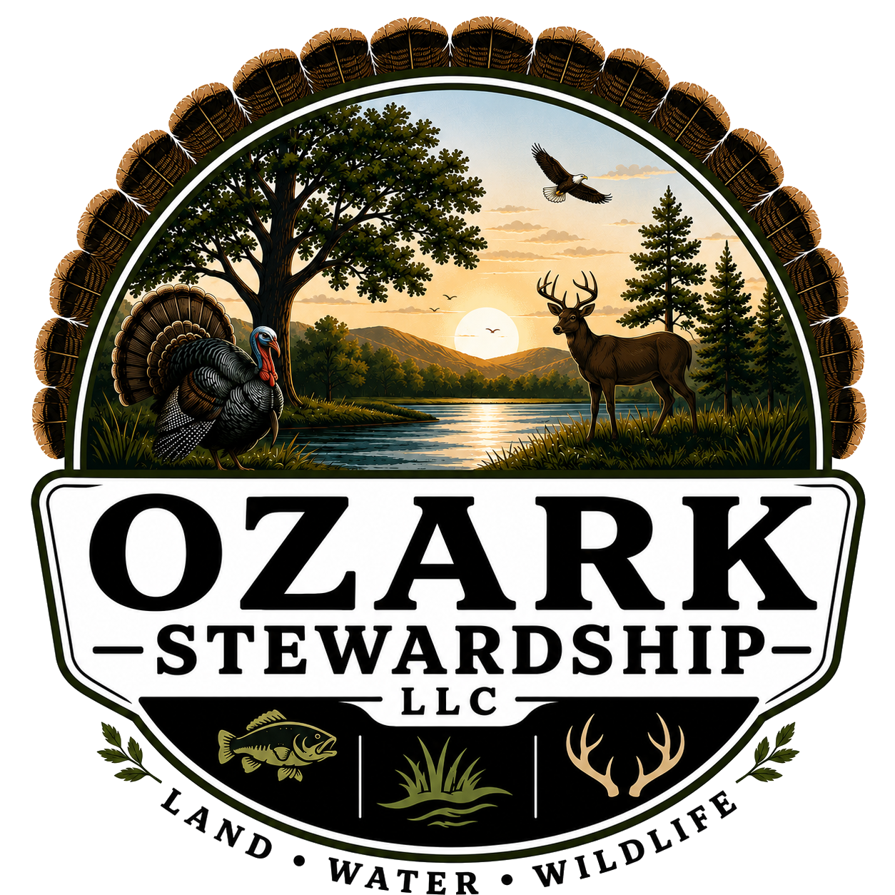 Ozark Stewardship LLC — Land, Water, Wildlife